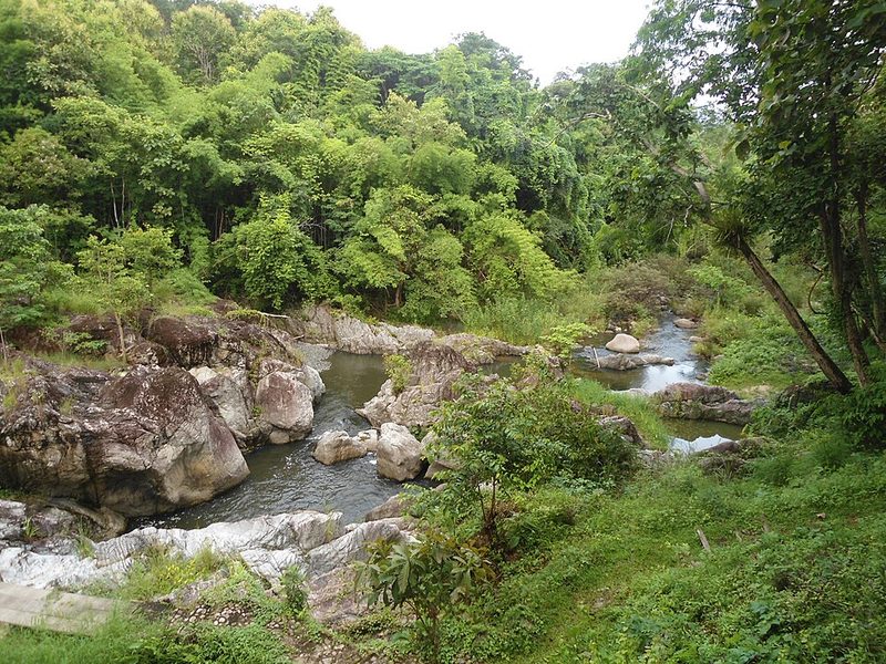 Mae Wong National Park