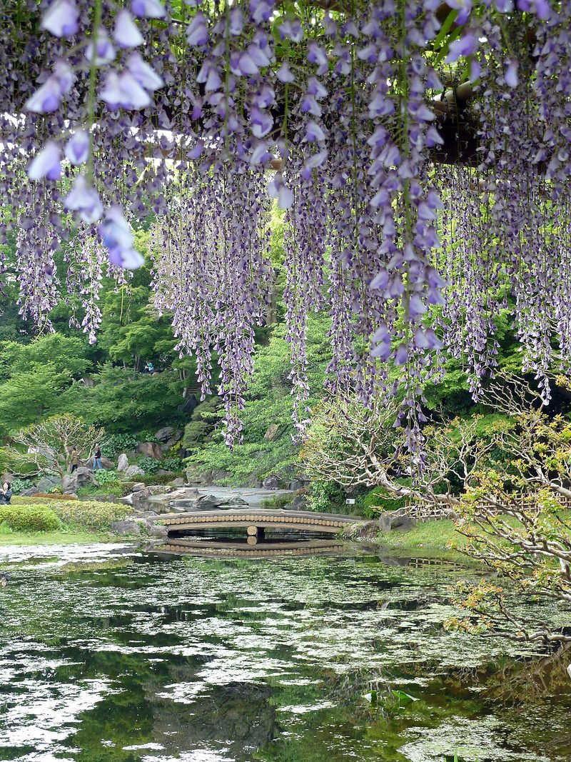 Imperial Palace East Garden