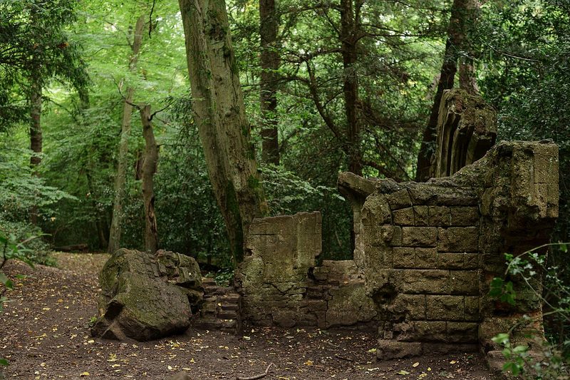 Sydenham Hill Wood