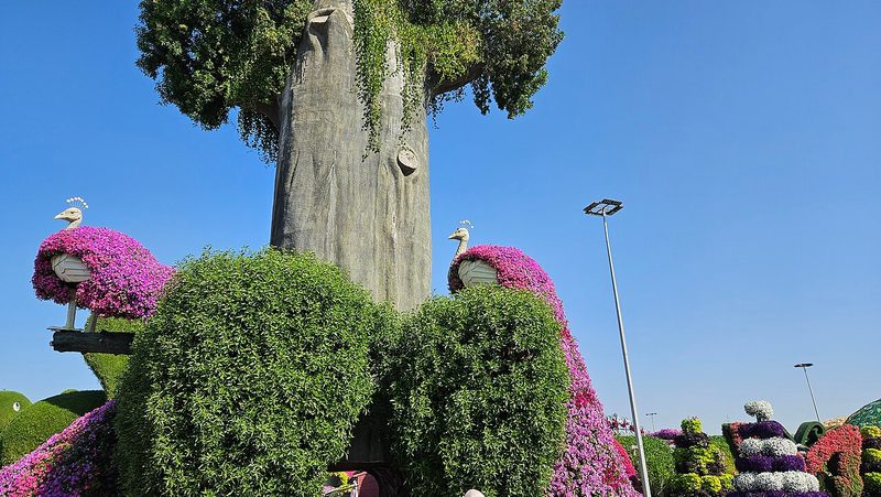 Dubai Miracle Garden