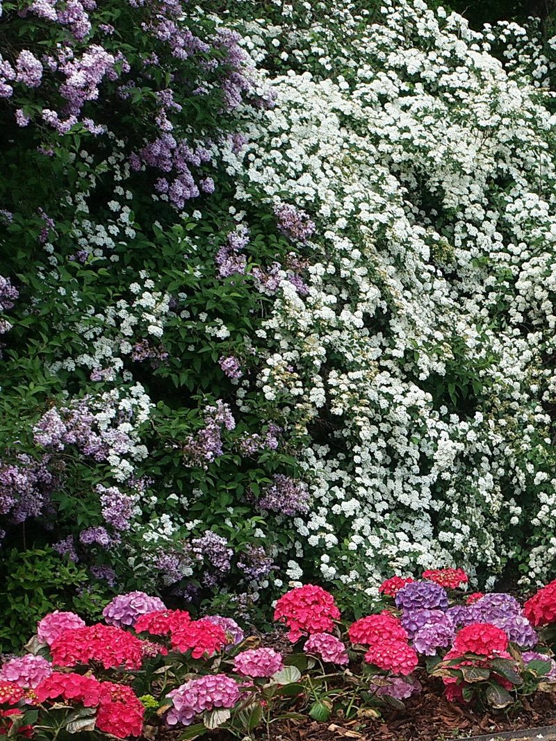 Stadtpark