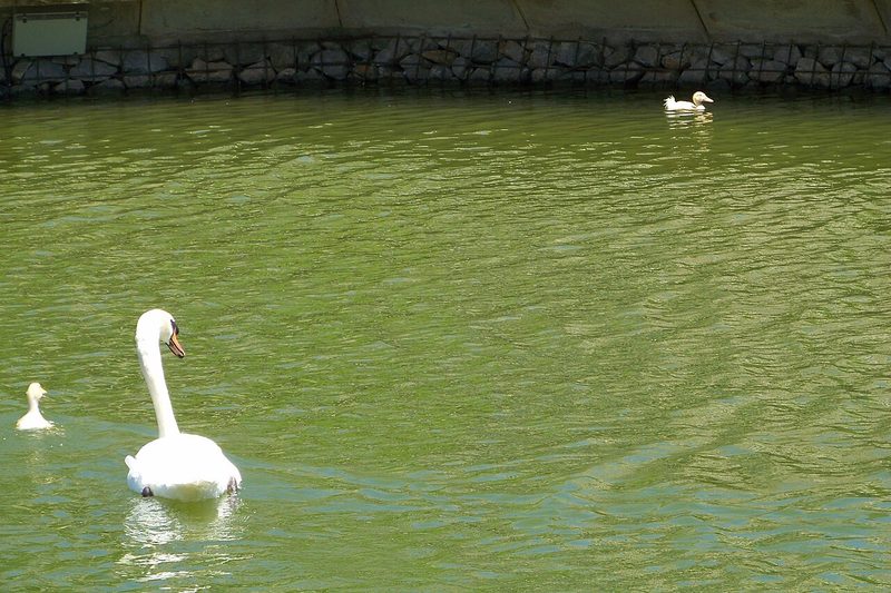 Parc Diagonal Mar