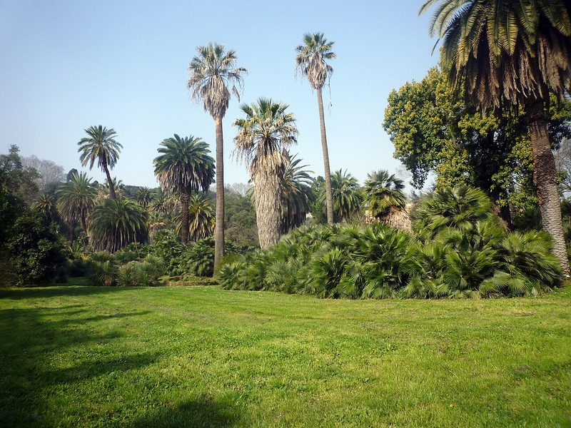 Orto Botanico dell'Università di Roma "La Sapienza"