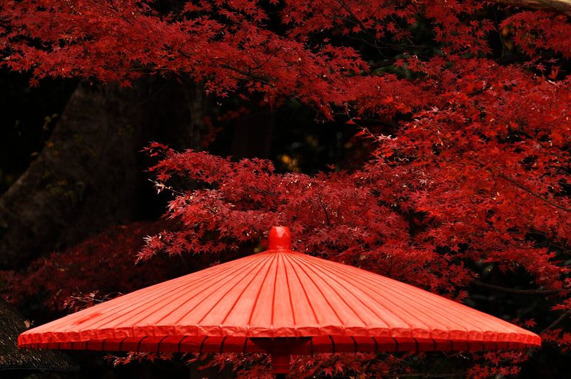 Koishikawa Kōrakuen