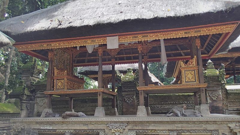 Monkey Forest