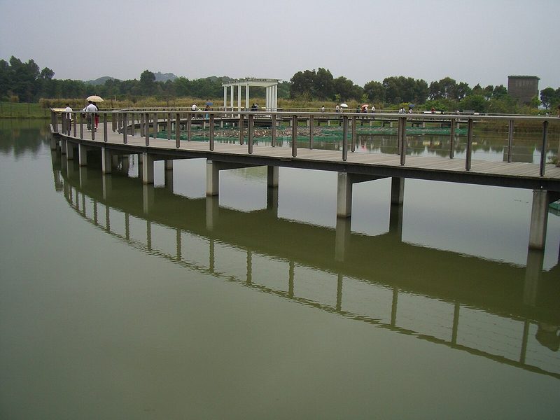 Hong Kong Wetland Park
