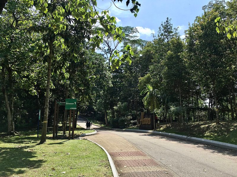 Hiking or mountainbiking in Bukit Kiara